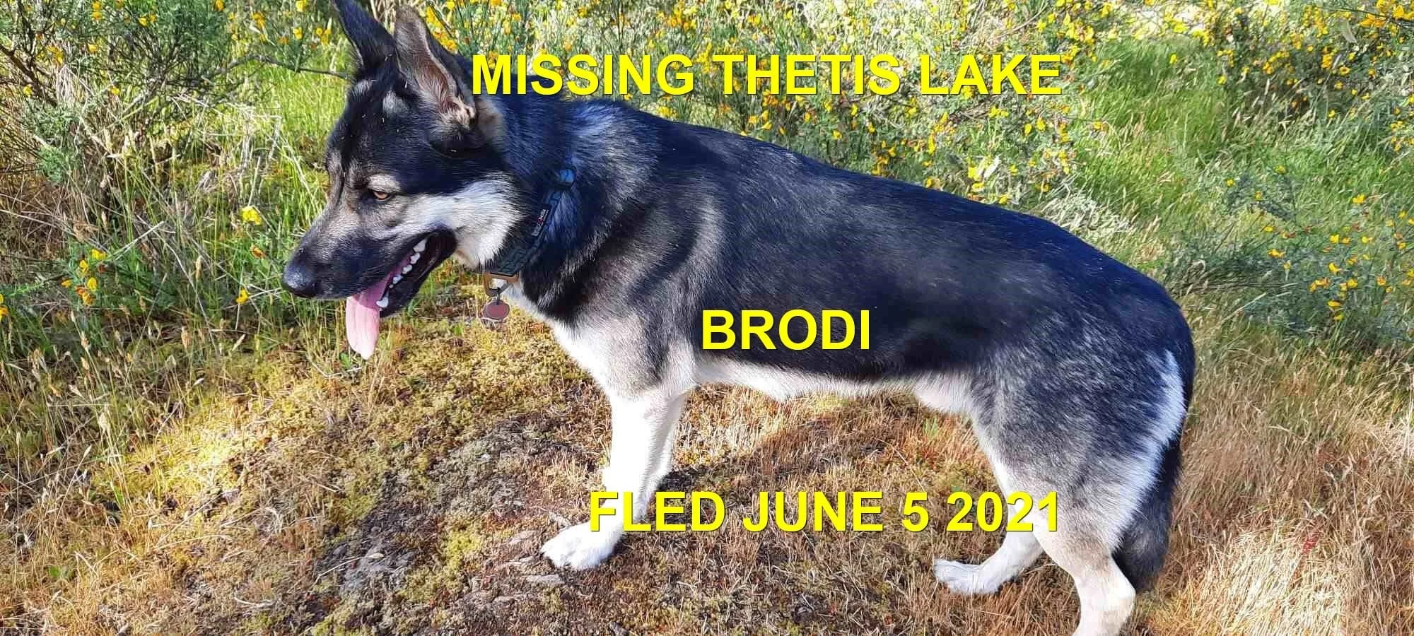 HAPPY ENDINGS - VIEW ROYAL BC / THETIS LAKE - BRODI - JUNE 5, 2021