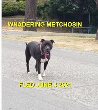 HAPPY ENDINGS - METCHOSIN BC - JUNE 4, 2021