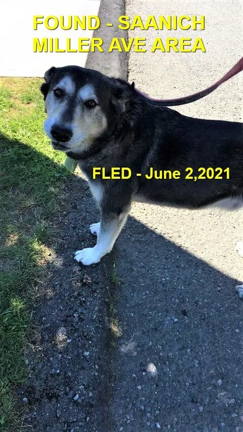 HAPPY ENDINGS - SAANICH BC. - JUNE 2, 2021