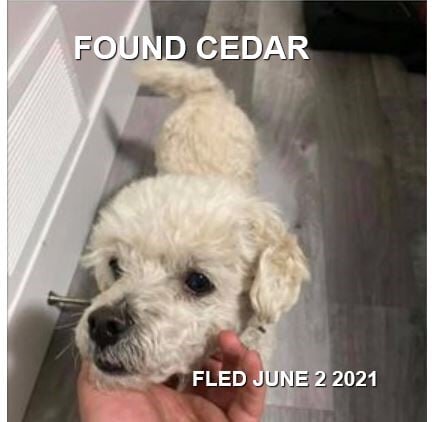 HAPPY ENDINGS - CEDAR BC - JUNE 1, 2021