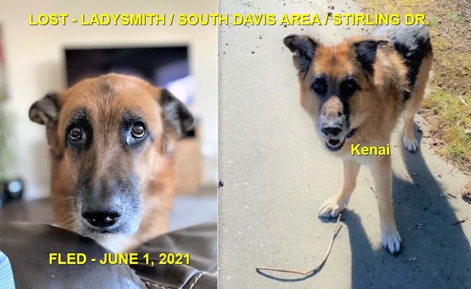 HAPPY ENDING - LADYSMITH BC - KENAI - JUNE 1, 2021