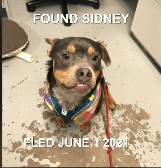 HAPPY ENDINGS - SIDNEY BC - JUNE 1, 2021