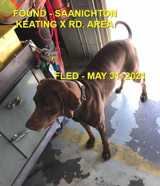 HAPPY ENDINGS - SAANICHTON BC - MAY 31, 2021