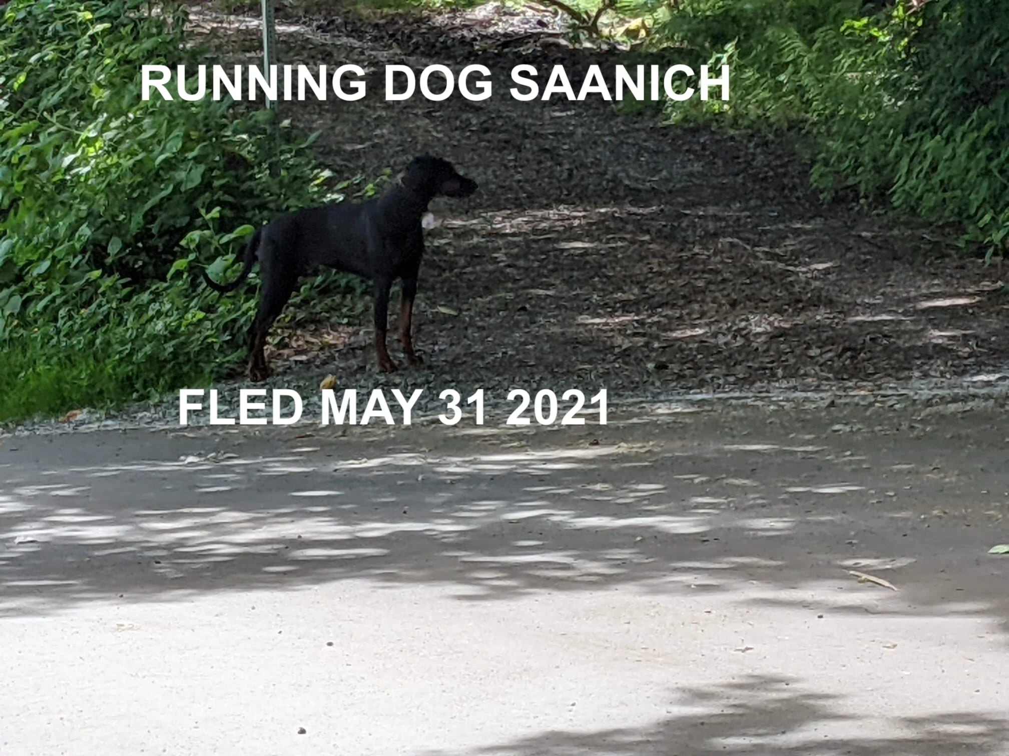UNRESOLVED - SAANICH BC - MAY 31, 2021