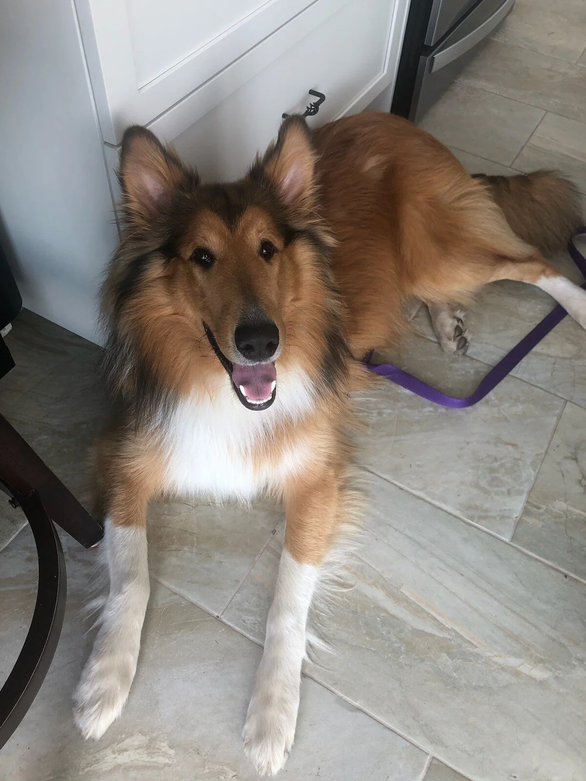 HAPPY ENDINGS - EAST SOOKE BC - MAY 30, 2021