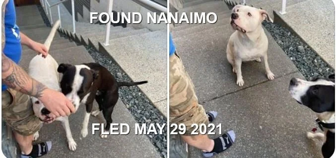 HAPPY ENDINGS - NANAIMO BC - MAY 29, 2021