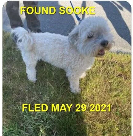 HAPPY ENDINGS - SOOKE BC - OTIS - MAY 29, 2021