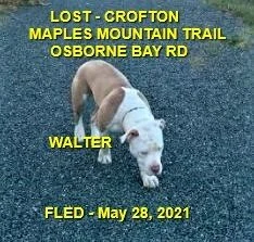 HAPPY ENDINGS - CROFTON BC - WALTER - MAY 28, 2021