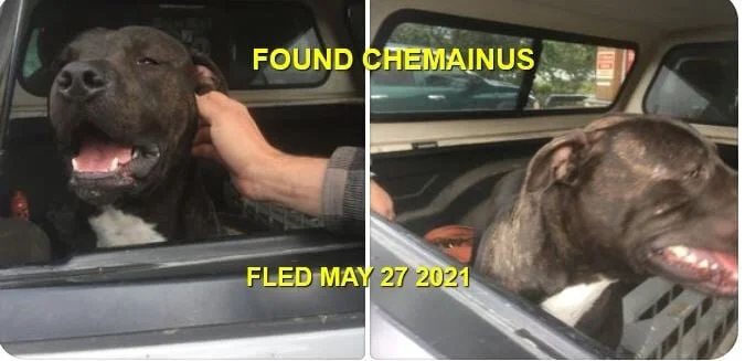 HAPPY ENDINGS - CHEMAINUS BC - HANDRIX - MAY 27, 2021