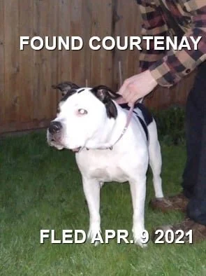 GONE TO SHELTER - COURTENAY BC - APRIL 9, 2021