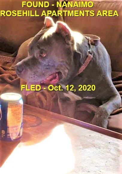 HAPPY ENDINGS - NANAIMO BC - OCTOBER 12, 2020