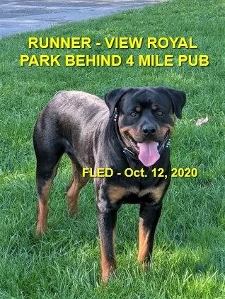 HAPPY ENDINGS - VIEW ROYAL BC - OCTOBER 12, 2020