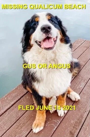 HAPPY ENDINGS - QUALICUM BEACH BC - GUS / JUNE 14, 2021