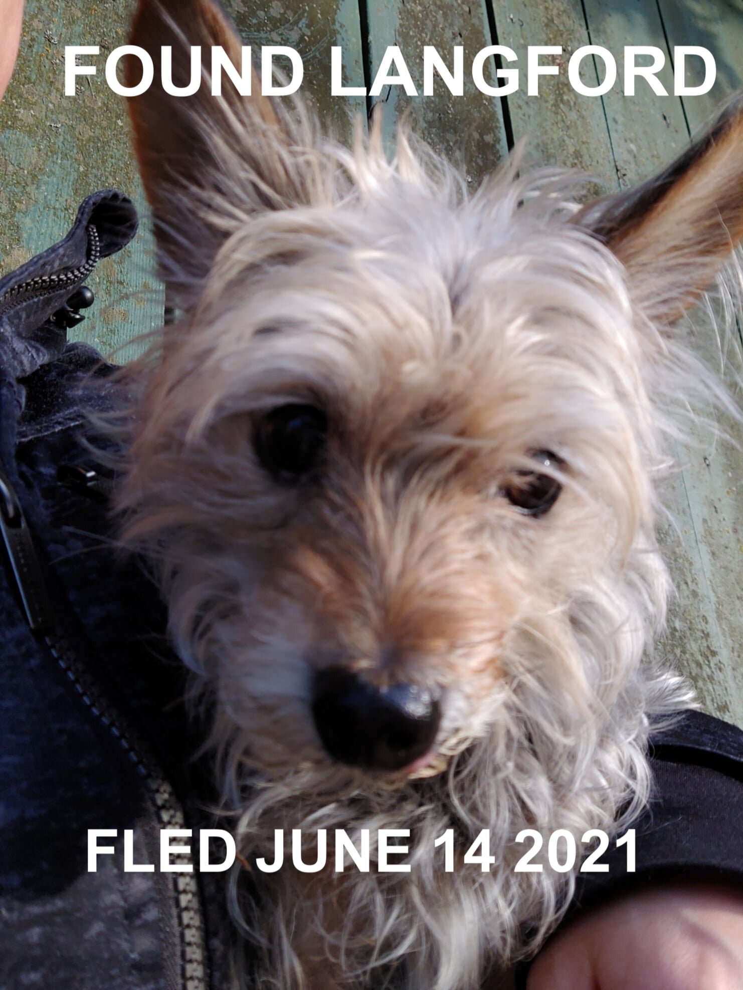 HAPPY ENDINGS - LANGFORD BC - JUNE 14, 2021