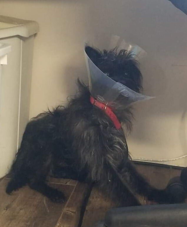 HAPPY ENDINGS - GABRIOLA ISLAND BC - JUNE 14, 2021