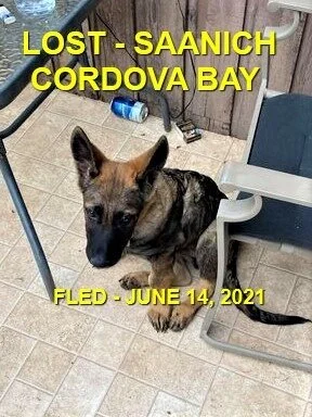 HAPPY ENDING - SAANICH BC - JUNE 14, 2021