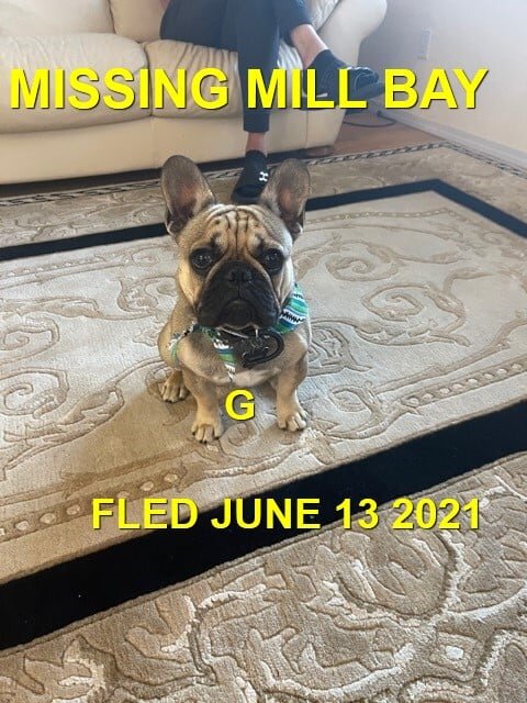 OVER THE RAINBOW BRIDGE - MILL BAY BC - G. - JUNE 13, 2021