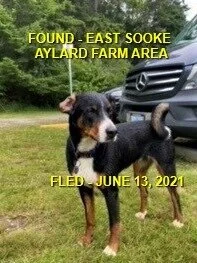 HAPPY ENDINGS - SOOKE BC - JUNE 13, 2021