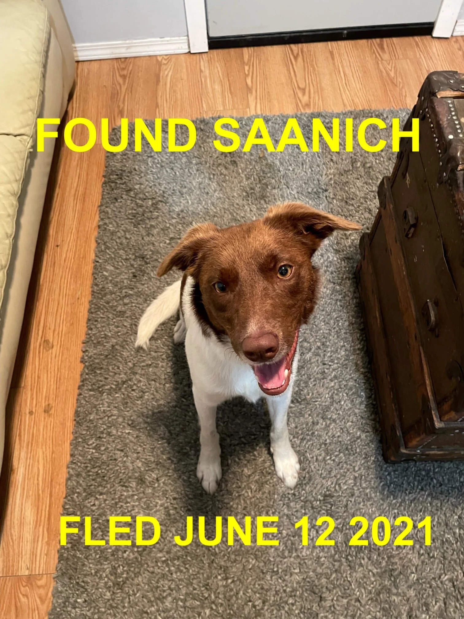 HAPPY ENDINGS - SAANICH BC - JUNE 13, 2021