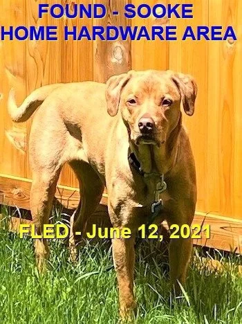 HAPPY ENDINGS - SOOKE BC -  LOLA - JUNE 12, 2021