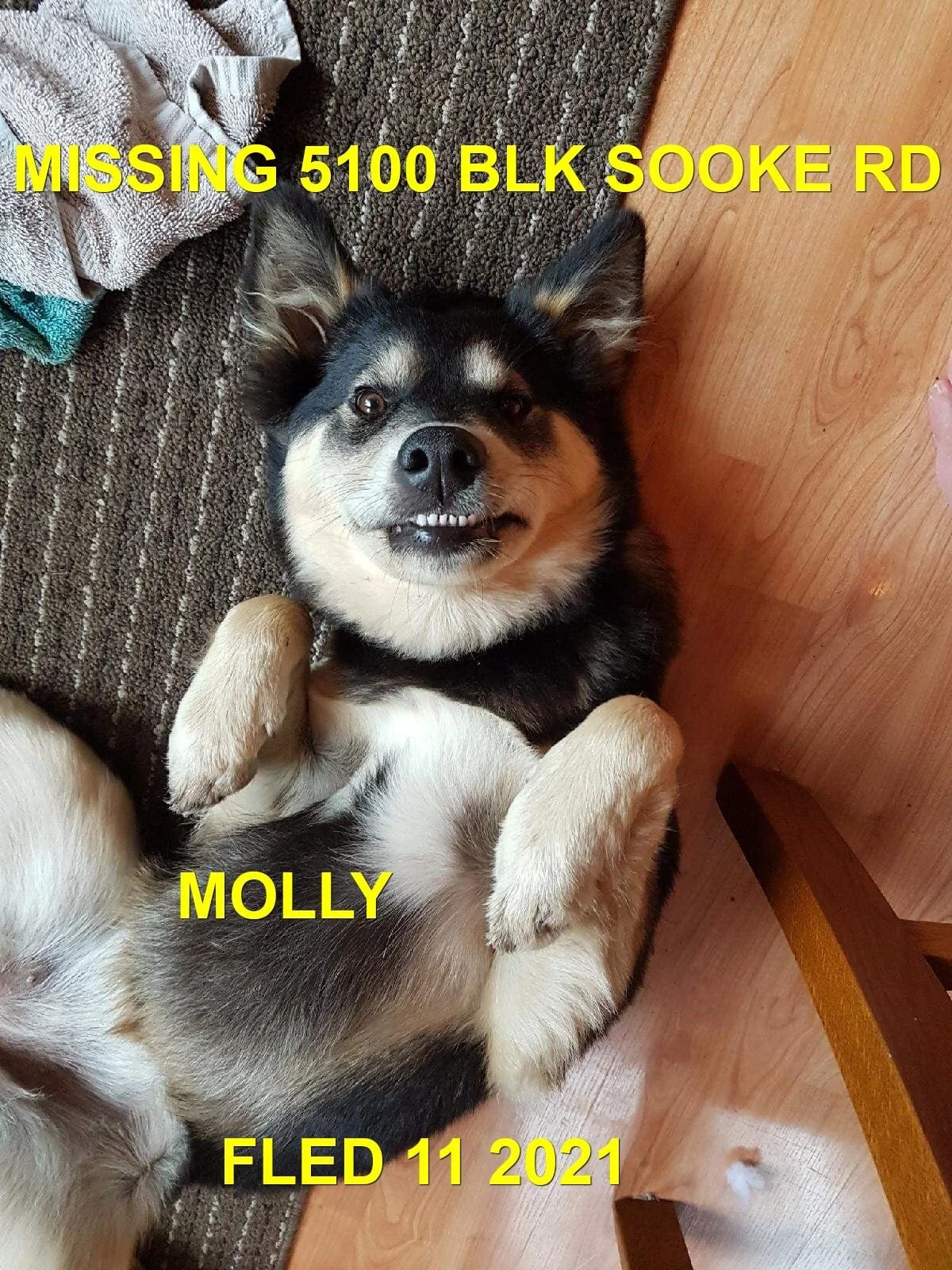 HAPPY ENDINGS - SOOKE BC - MOLLY - JUNE 11, 2021