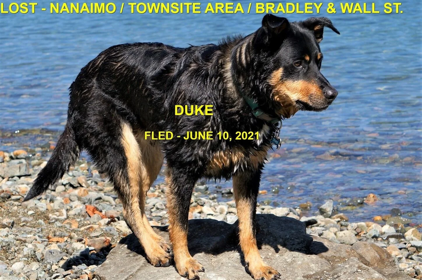 HAPPY ENDINGS - NANAIMO BC - DUKE - JUNE 10, 2021