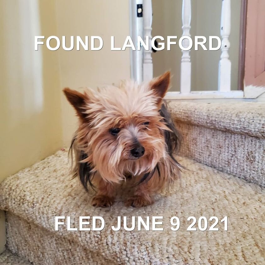 HAPPY ENDINGS - LANGFORD BC - JUNE 9, 2021