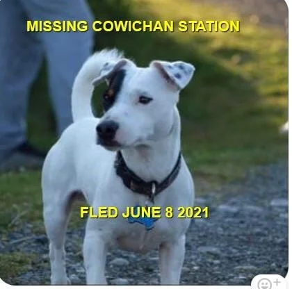 HAPPY ENDINGS - DUNCAN BC - JUNE 8, 2021