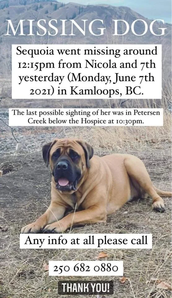 HAPPY ENDINGS - KAMLOOPS BC - JUNE 7, 2021