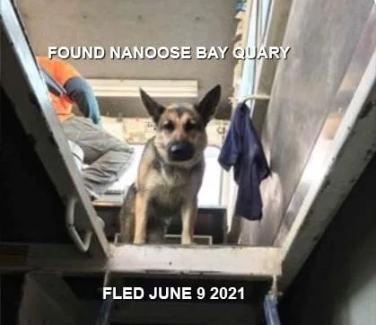 HAPPY ENDINGS - NANOOSE BAY BC - JUNE 9, 2021