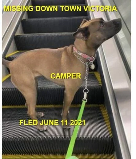 BOLTED AFTER BREAK IN - VICTORIA BC - CAMPER - JUNE 11, 2021