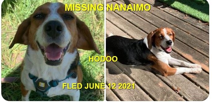 HAPPY ENDINGS - NANAIMO BC - HODOO - JUNE 7, 2021