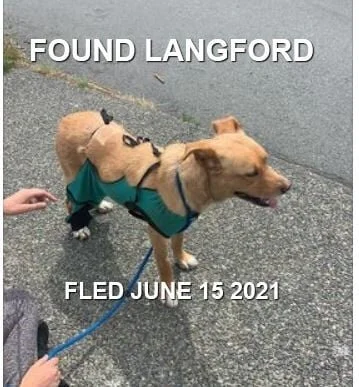 HAPPY ENDINGS - LANGFORD BC - PENNY - JUNE 15, 2021