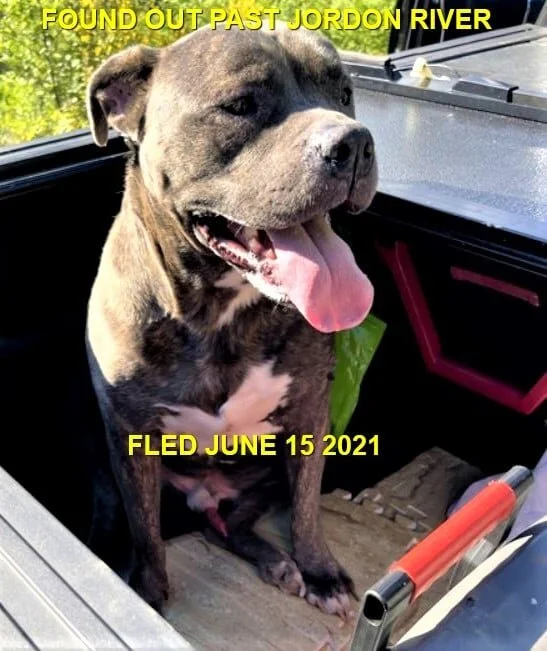 HAPPY ENDINGS - PORT RENFREW BC - JUNE 16, 2021