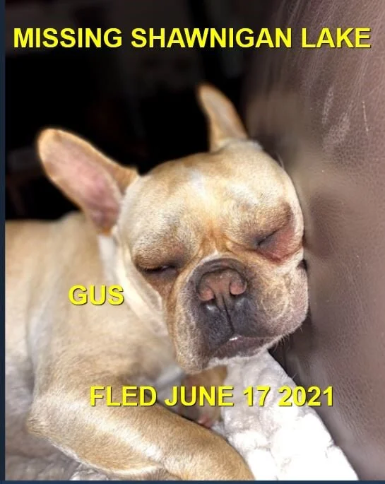 HAPPY ENDINGS - SHAWNIGAN LAKE BC - GUS - JUNE 17, 2021