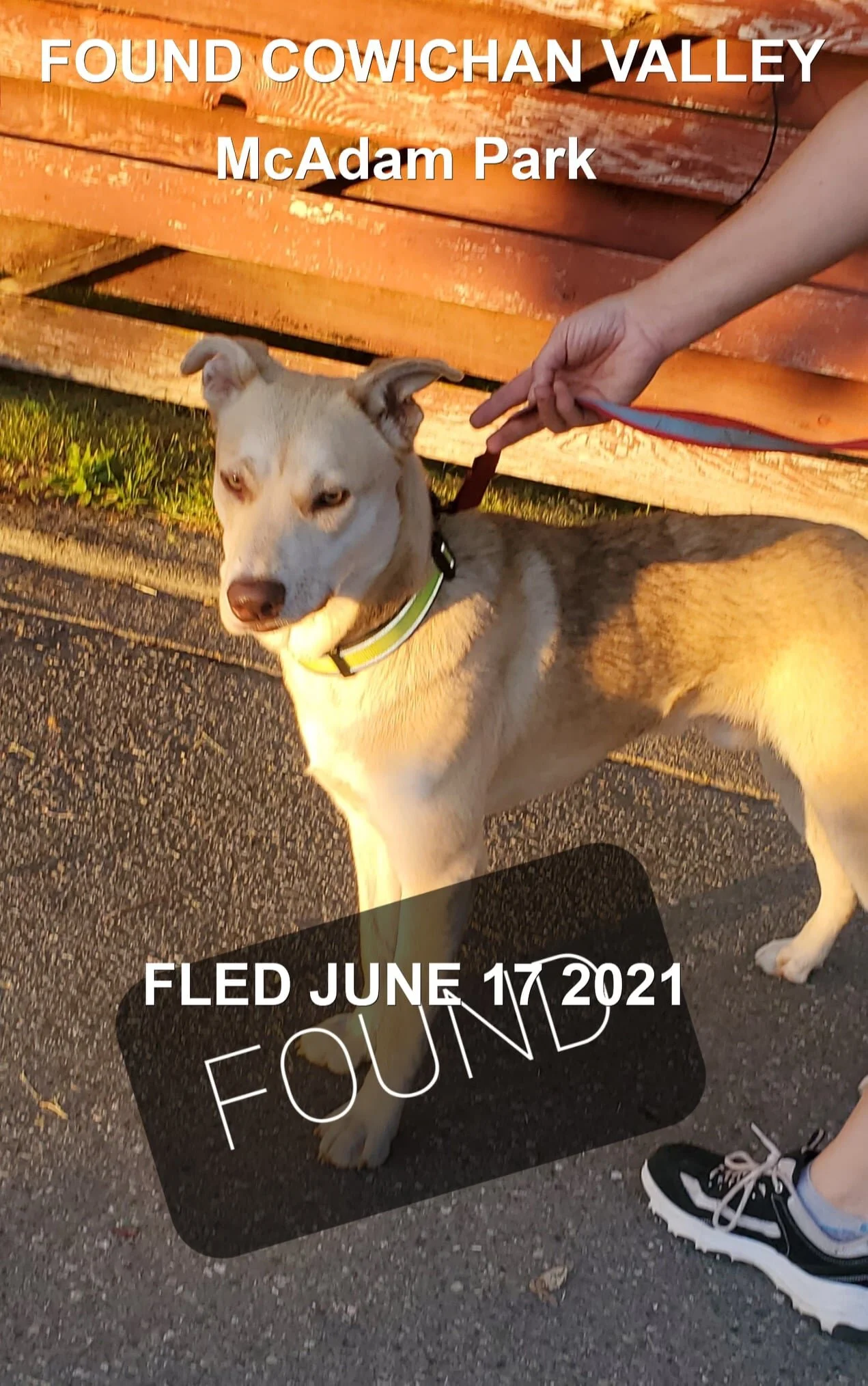 HAPPY ENDINGS - COWICHAN BC - JUNE 17, 2021