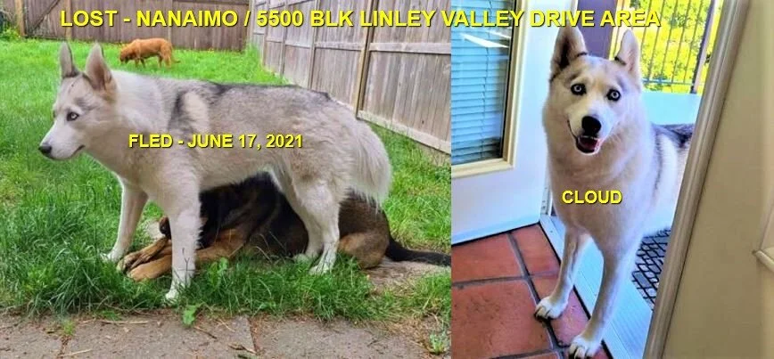 HAPPY ENDINGS - NANAIMO BC - CLOUD - JUNE 17, 2021