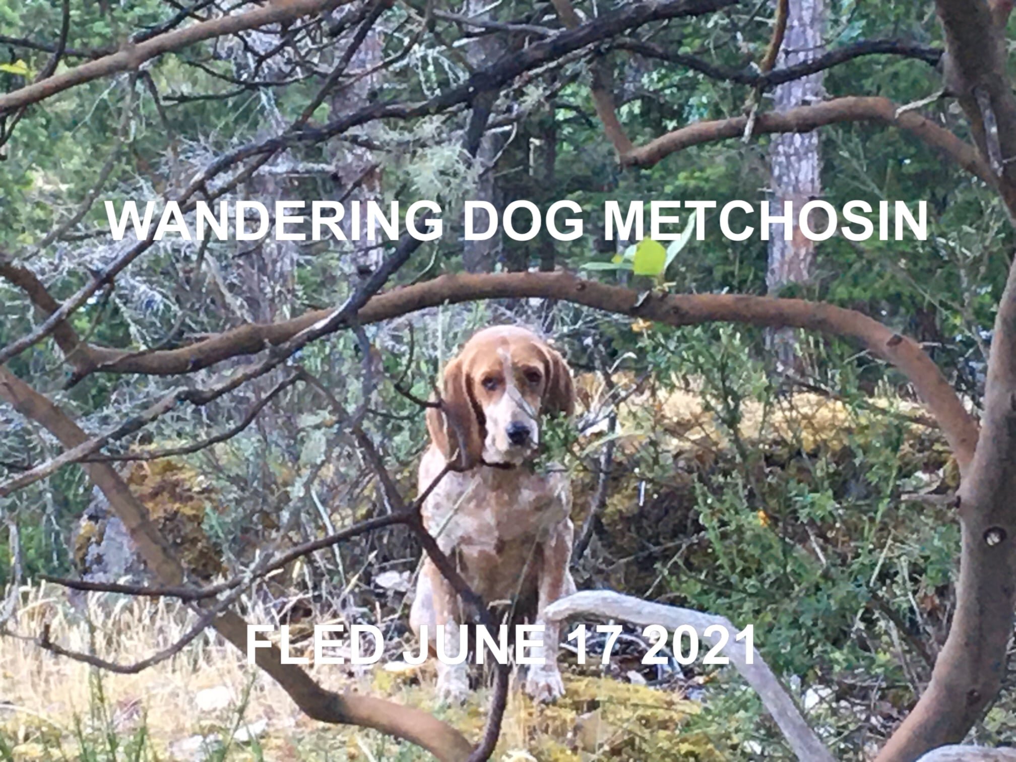 HAPPY ENDINGS - METCHOSIN BC - JUNE 17, 2021