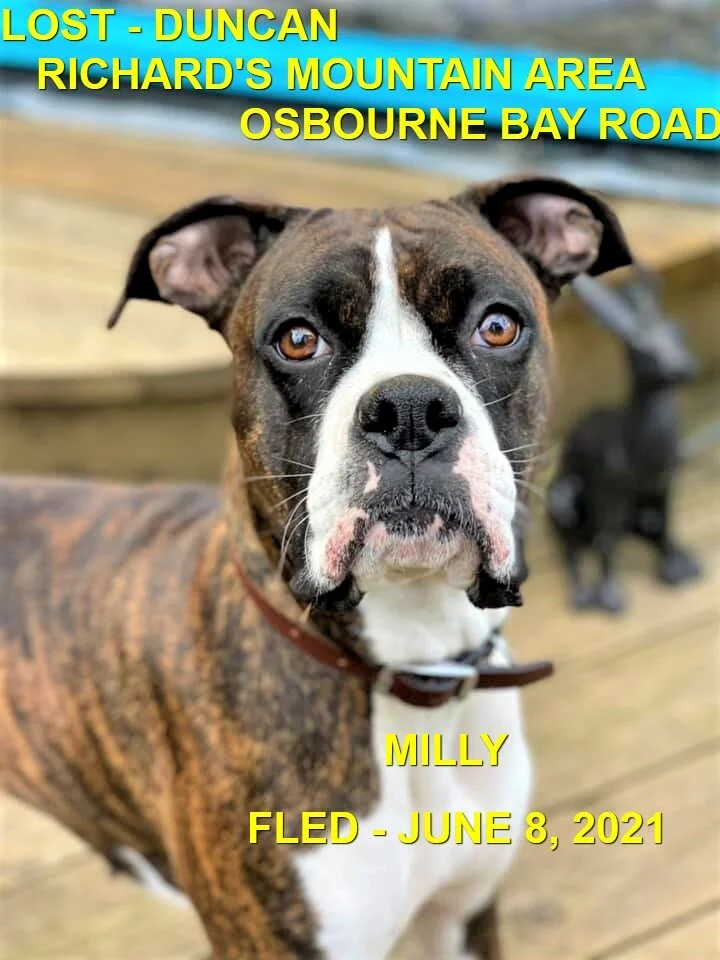 HAPPY ENDINGS - DUNCAN BC - MILLY - JUNE 8, 2021