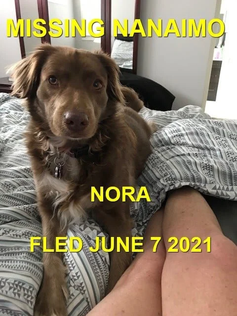 HAPPY ENDINGS - NANAIMO BC. - NORA - JUNE 7, 2021