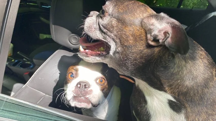 HAPPY ENDINGS - LANGFORD BC - JUNE 7, 2021