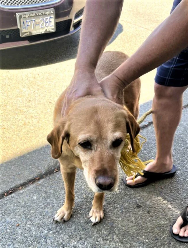 HAPPY ENDINGS - LANGFORD BC - JUNE 7, 2021