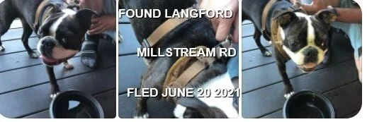 HAPPY ENDINGS - LANGFORD BC - JUNE 20, 2021