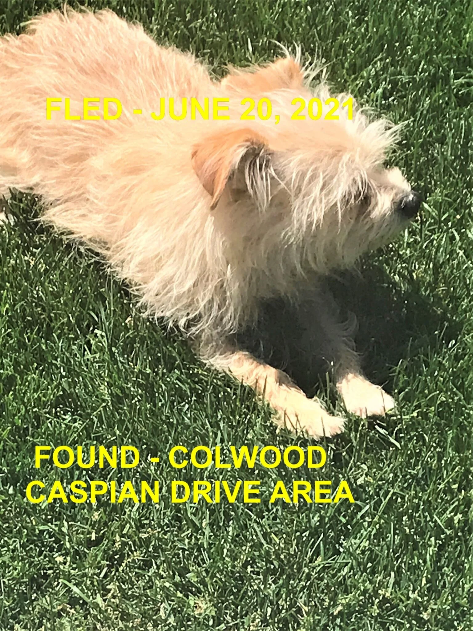 HAPPY ENDINGS - COLWOOD BC - JUNE 20, 2021