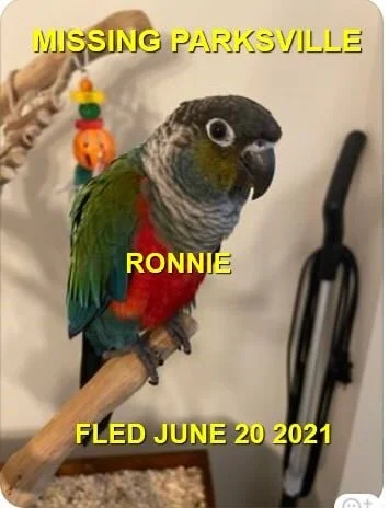 HAPPY ENDINGS - PARKSVILLE BC - RONNIE - JUNE 19, 2021
