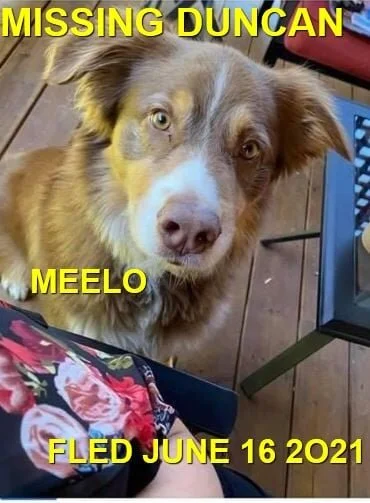 HAPPY ENDINGS - DUNCAN BC - MEELO - JUNE 16, 2021