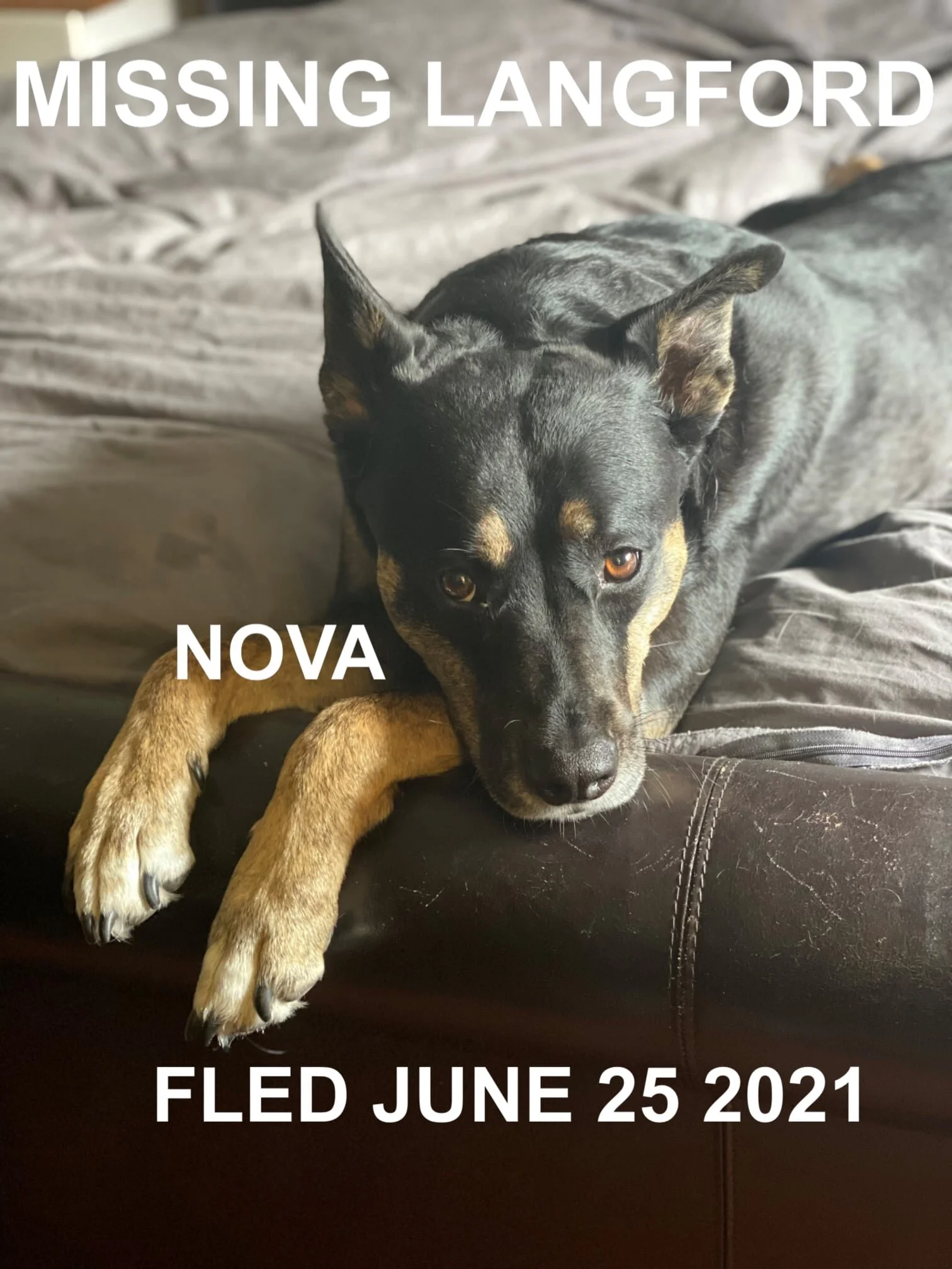 HAPPY ENDINGS - LANGFORD BC - NOVA - JUNE 25, 2021