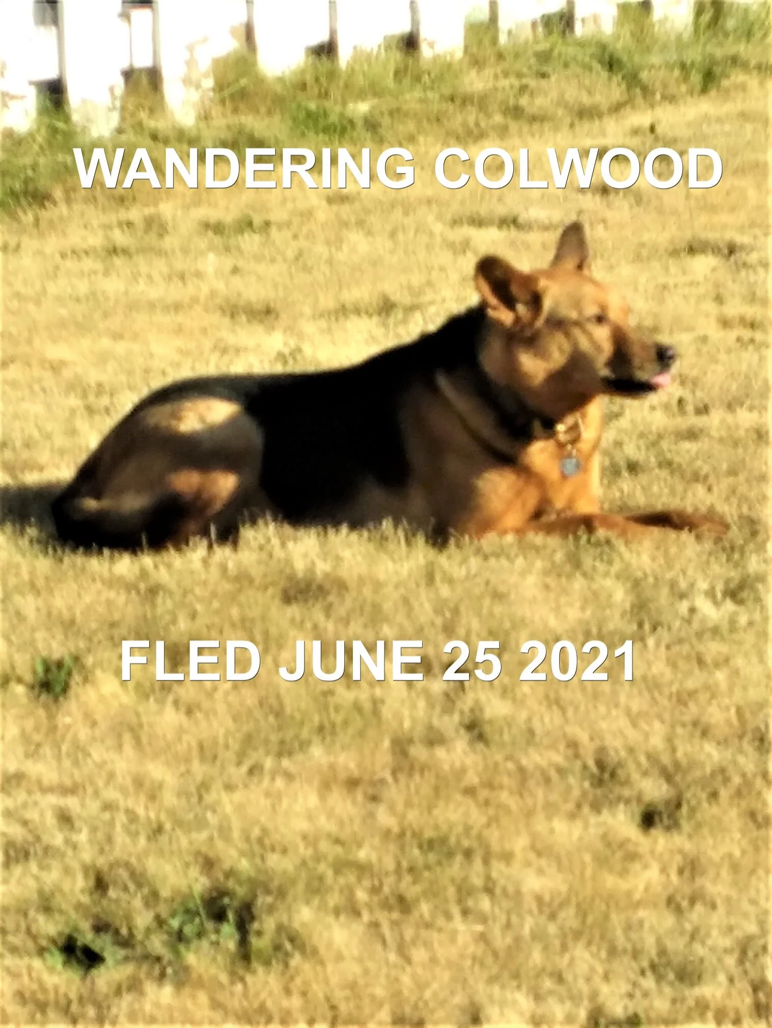 HAPPY ENDINGS - COLWOOD BC - JUNE 25, 2021