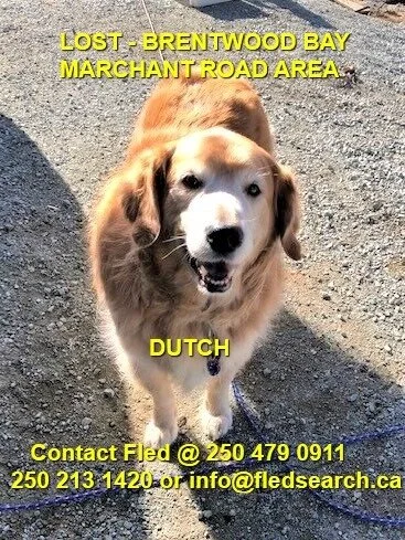 HAPPY ENDINGS - BRENTWOOD BAY BC - JUNE 24, 2021