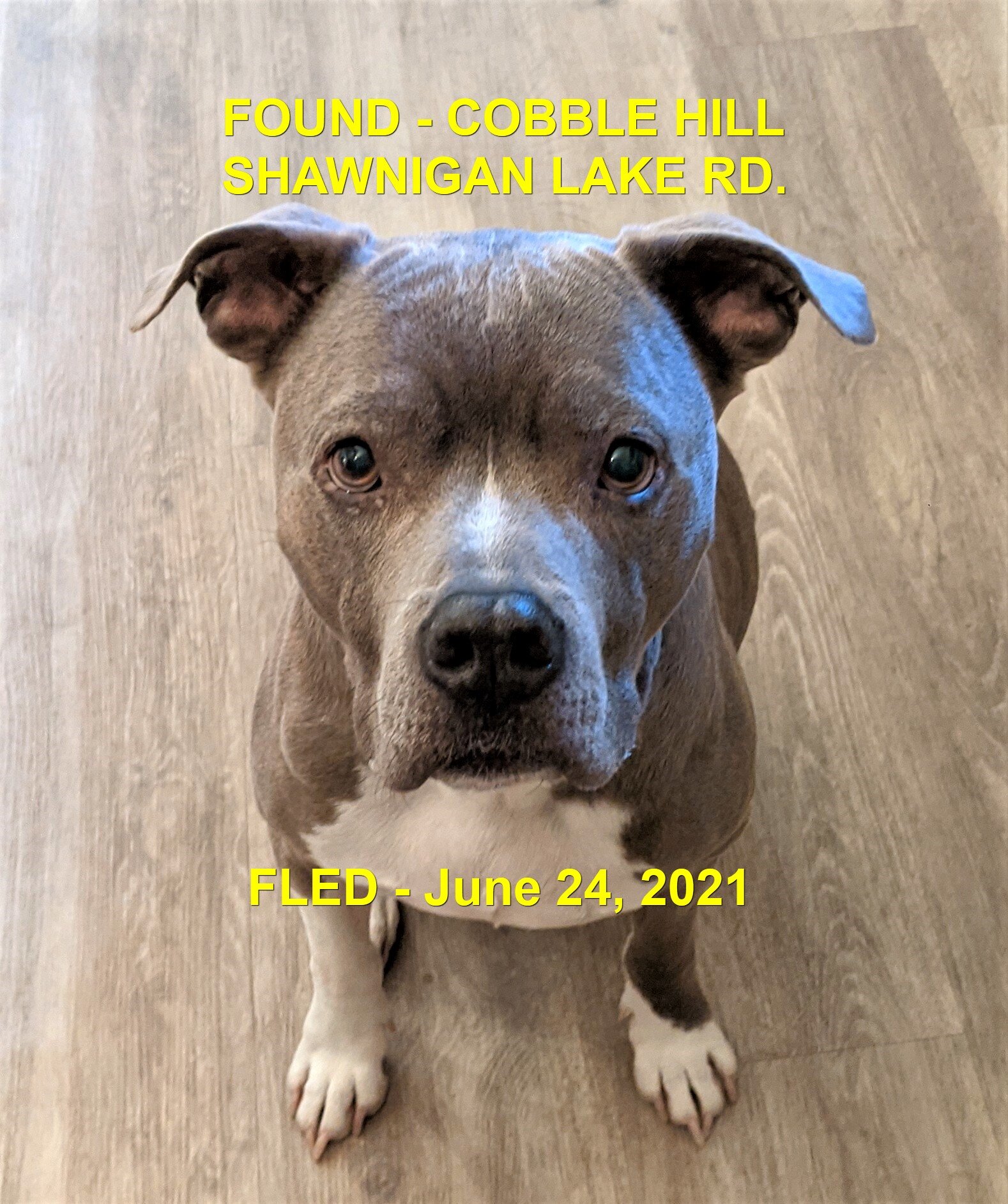 HAPPY ENDINGS - COBBLE HILL BC - JUNE 24, 2021